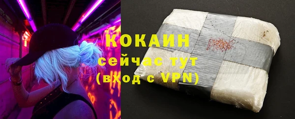 шишки Магадан