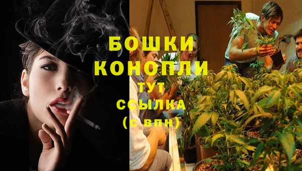 шишки Магадан