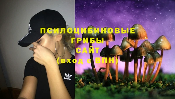 2c-b Магас
