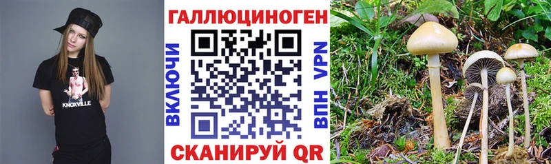 Галлюциногенные грибы ЛСД  Купить где  Мценск 