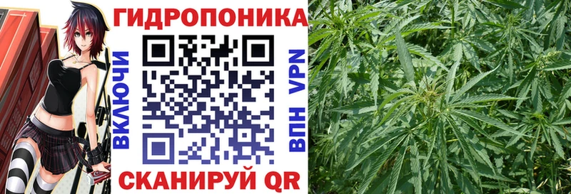 Канабис VHQ  Купить где  Мценск 